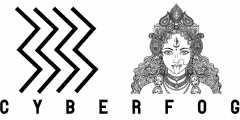 Cyberfog Ltd